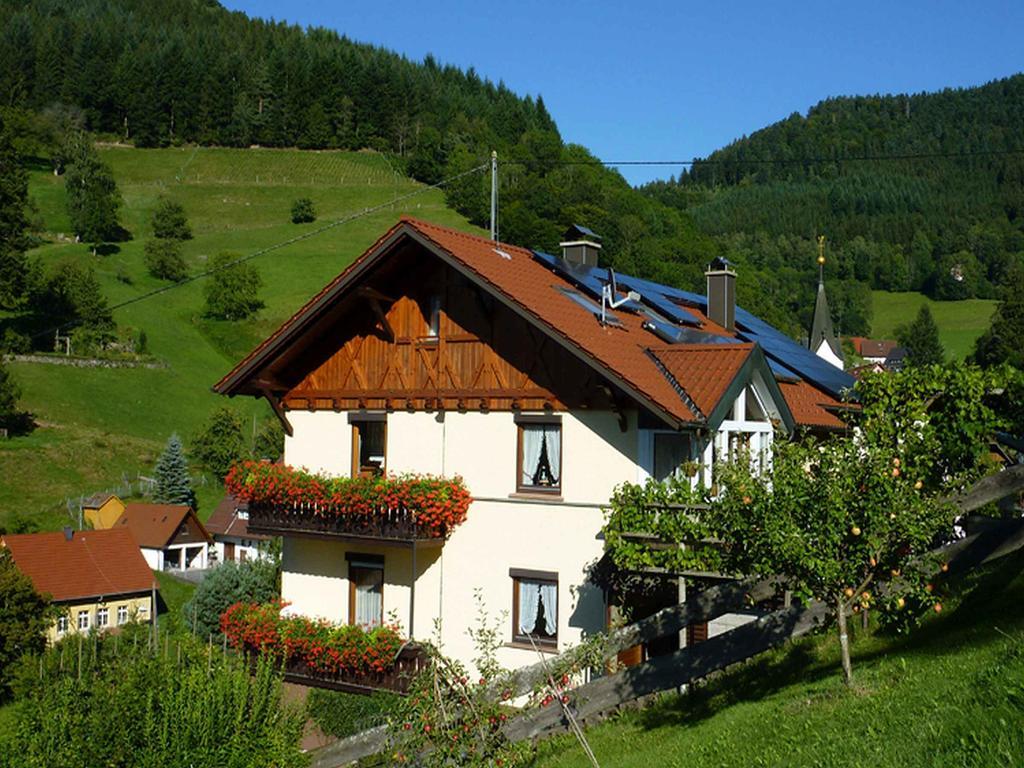 Апартаменты Haus Harter Вольфах Экстерьер фото